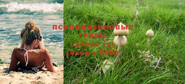 амфетамин Алексин