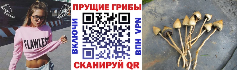 что такое   Мегион  Псилоцибиновые грибы ЛСД 